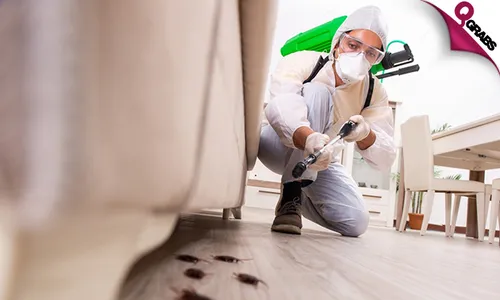 Professional Pest Control Services!